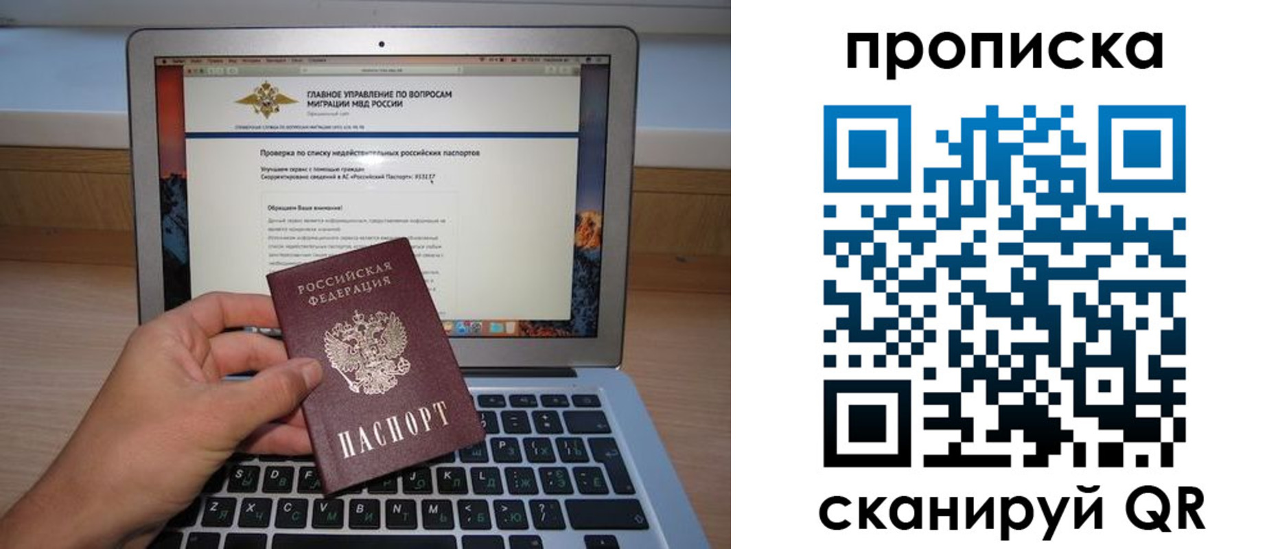 прописка поиск в Мытищах